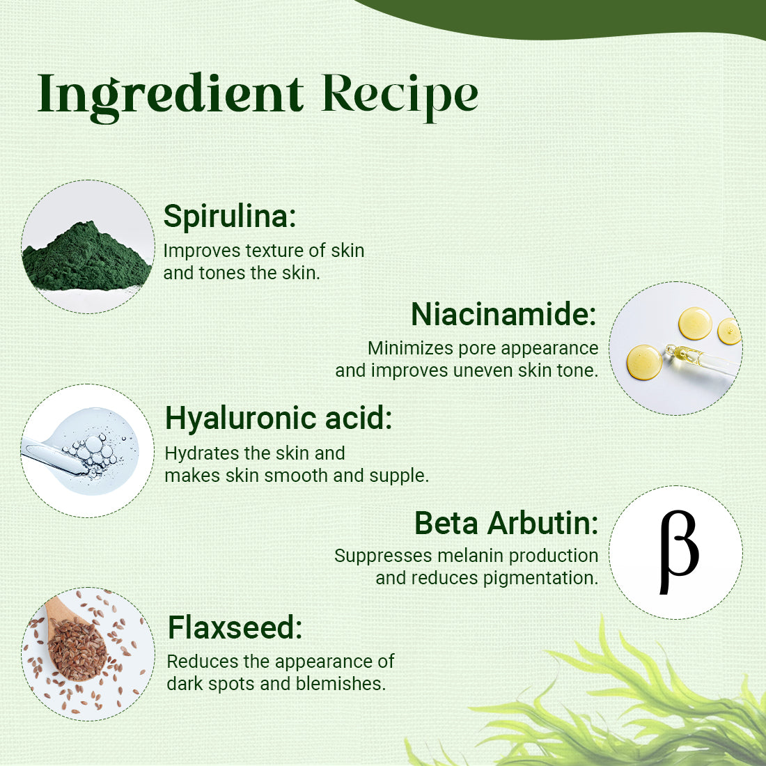 Spirulina Serum+Moisturizer With Spirulina Algae & Beta Arbutin (Exclusive)