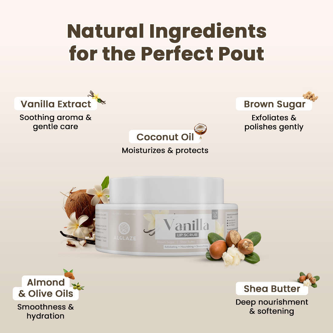 Vanilla LIP SCRUB | Exfoliating • Nourishing • Smoothing